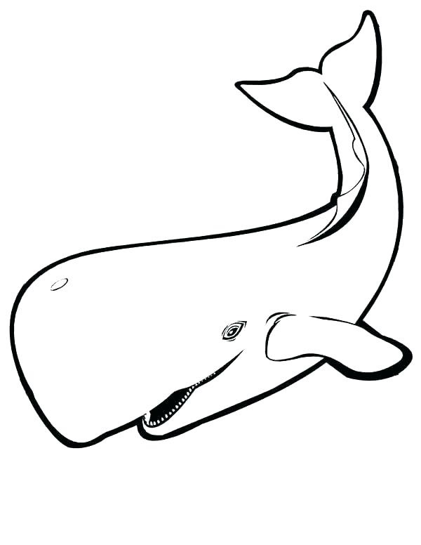 نقاشی کودکانه نهنگ قاتل 