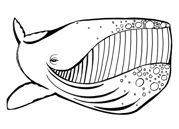 نقاشی نهنگ قاتل