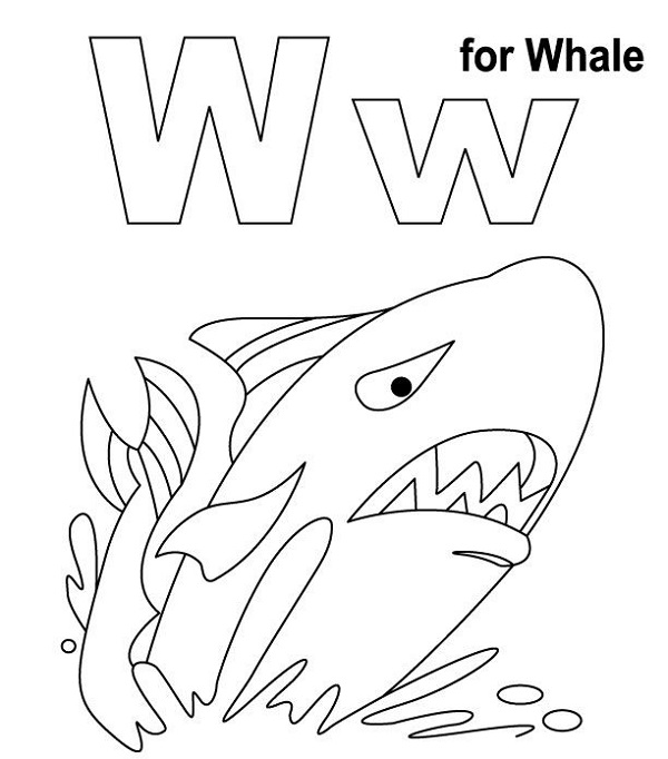 نقاشی آموزش نهنگ به انگلیسی