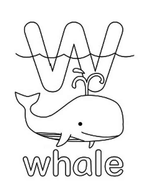آموزش نهنگ به انگلیسی