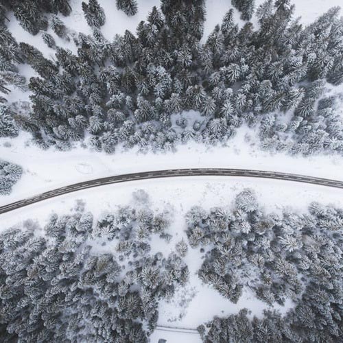 عکس درختان پوشیده از برف در زمستان