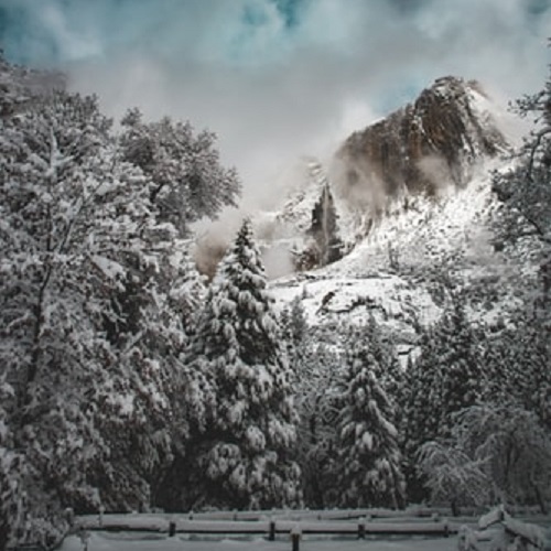 عکس درختان برفی در کوهستان در زمستان