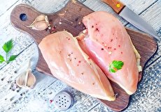 طبع مرغ؛ آیا طبع مرغ محلی و ماشینی فرق دارد؟