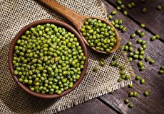 طبع ماش چیست و چه مواد غذایی مصلح آن هستند؟