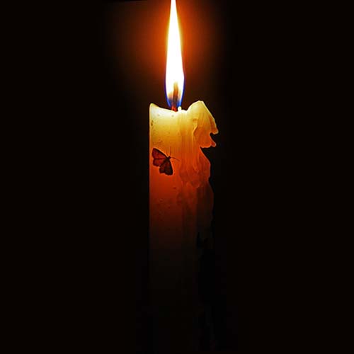 عکس پروفایل شمع و پروانه سیاه