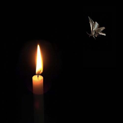 عکس پروفایل تسلیت با شمع و پروانه