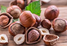 طبع فندق گرم است یا سرد و مصلحات آن چیست؟