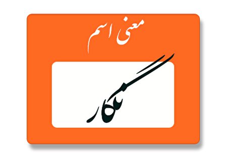معنی اسم نگار چیست؟ (ریشه، فراوانی و نام های مشابه نگار)