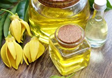 روغن یلانگ یلانگ چیست، چه خواصی دارد و چگونه مصرف می شود؟