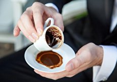 تعبیر و تفسیر گورخر در فال قهوه