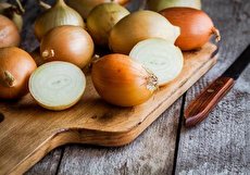 طبع پیاز چیست و مصلحات آن کدامند؟