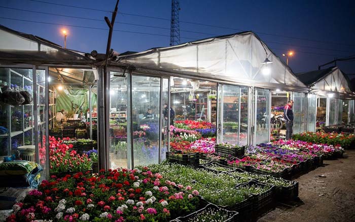 بازار گل محلاتی، بهشت خوش‌عطر تهران