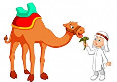 داستان ضرب المثل شتر دیدی ندیدی و کاربرد آن