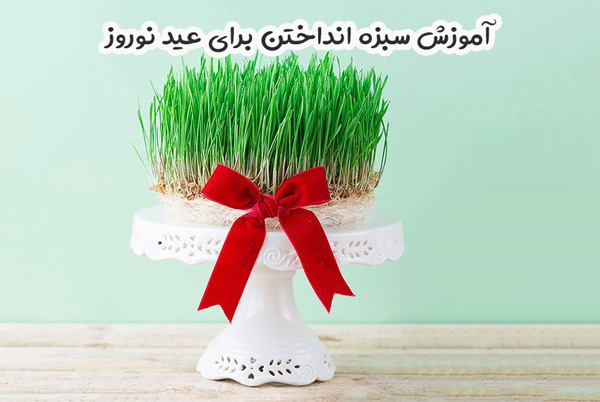 آموزش سبزه انداختن برای عید نوروز آموزش سبزه انداختن برای عید نوروز