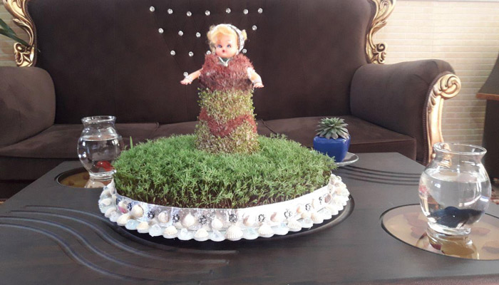 سبزه دو رنگ عروسکی سبزه دو رنگ عروسکی
