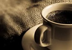 تعبیر و تفسیر لاک پشت در فال قهوه