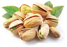 طبع پسته گرم است یا سرد و مصلحات آن چیست؟