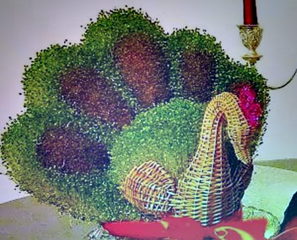 سبزه خرفه و شاهی به شکل طاووس