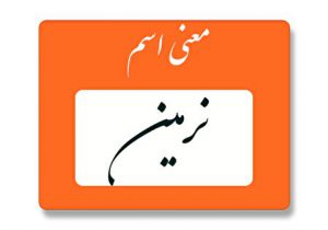 معنی اسم نرمین