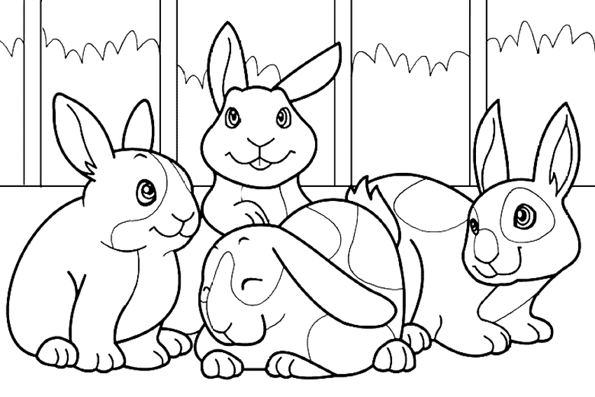 داستان کودکانه جدید؛ چهار خرگوش کوچولو
