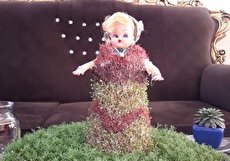 آموزش گام به گام سبزه دو رنگ عروسکی