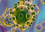 اطلاعات جدید سازمان جهانی بهداشت درباره ویروس کرونا