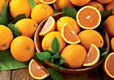طبع پرتقال ترش و شیرین چیست و مصلحات آن کدامند؟