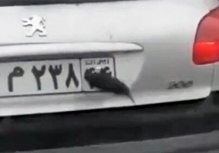 ۵ نفر از سازندگان کلیپ بارش بادمجان دستگیر شدند