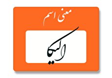 معنی اسم الیکا چیست؟ (ریشه، فراوانی و اسم های مشابه الیکا)