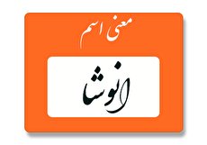 معنی اسم انوشا چیست؟ (ریشه، فراوانی و اسامی مشابه انوشا)