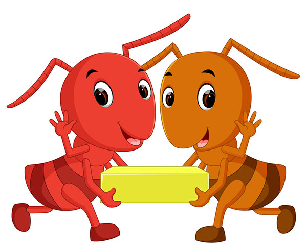 داستان کوتاه کودکانه در مورد دوستی؛ ماشین مورچه‌ای