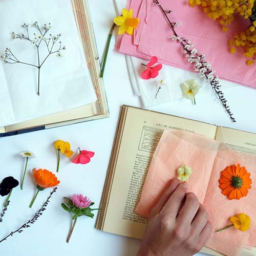 7 روش پر کاربرد برای خشک کردن گل طبیعی 7 روش پر کاربرد برای خشک کردن گل طبیعی