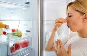 از بین بردن بوی بد یخچال
