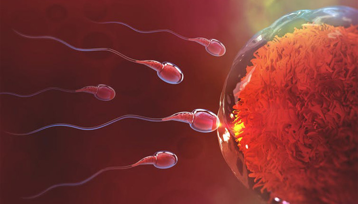 آیا احتمال بارداری با اسپرم خشک شده وجود دارد؟