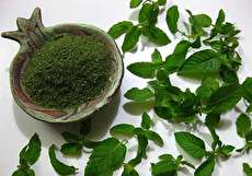 خشک کردن نعنا به ۴ روش آسان و مختلف