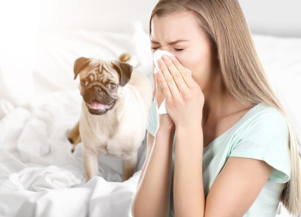 حساسیت به سگ
