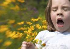 تب یونجه چیست؟ + علل، علائم و روشهای درمان و جلوگیری از آن