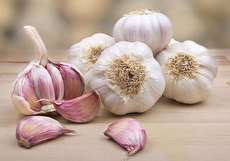 نحوه فریز کردن سیر تازه به ۳ روش متفاوت