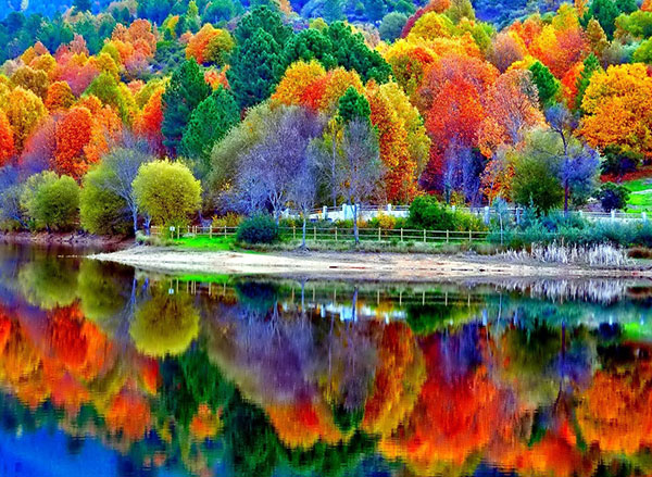 عکس طبیعت زیبا و رویایی رنگارنگ