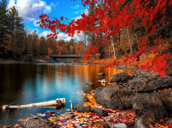 عکس طبیعت زیبا و رویایی پاییز