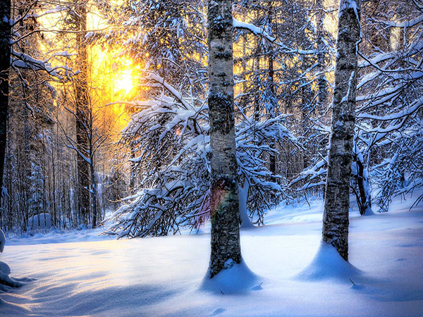 عکس طلوع خورشید طبیعت زمستانی