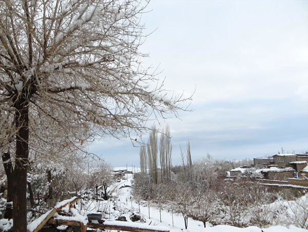 عکس طبیعت زمستانی گیلان
