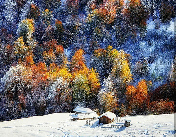 عکس طبیعت زمستانی رنگارنگ و زیبا