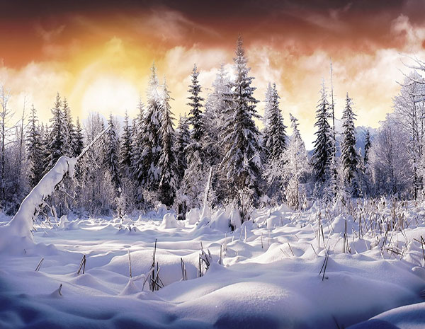 عکس طبیعت زمستانی غروب خورشید