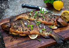 طرز تهیه ماهی دودی + نحوه گرفتن شوری ماهی دودی