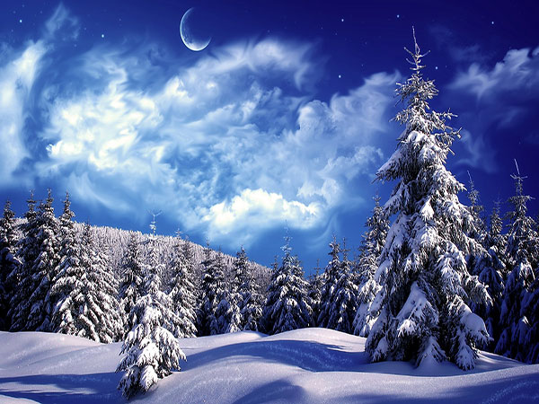 عکس طبیعت شب زمستانی برای پروفایل