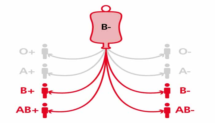 دریافت و اهدا خون گروه خونی B-