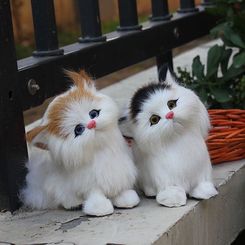 عکس دو گربه ملوس و عجیب