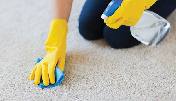 پاک کردن لکه کرم پودر از روی فرش و موکت