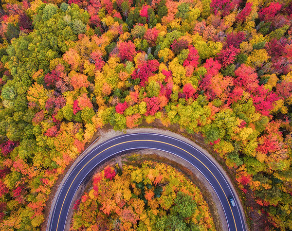 عکس طبیعت پاییزی جاده چالوس